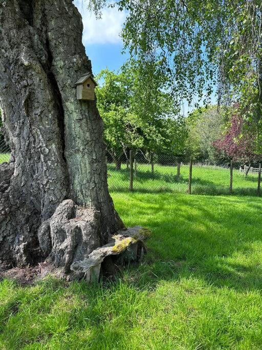 Beautiful 2 Bed Oast - 15 Acre Farm - Tunbridge Wells Villa Exterior foto